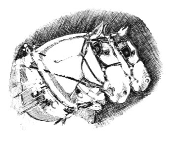 smcfair Icon